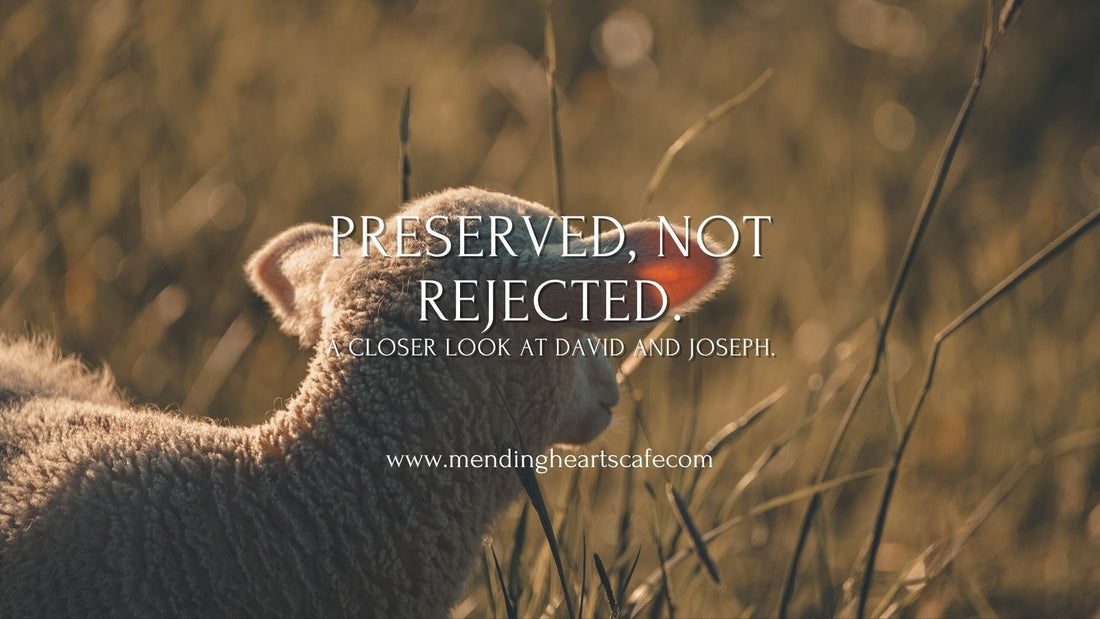 Preserved, not rejected. A closer look at David and Joseph story